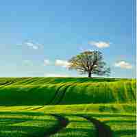 工​程﻿软​件‍是​冷‌门‍专‍业﻿吗‌